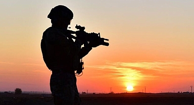 MİT'ten nokta operasyon