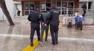 Kedi katili tutuklandı