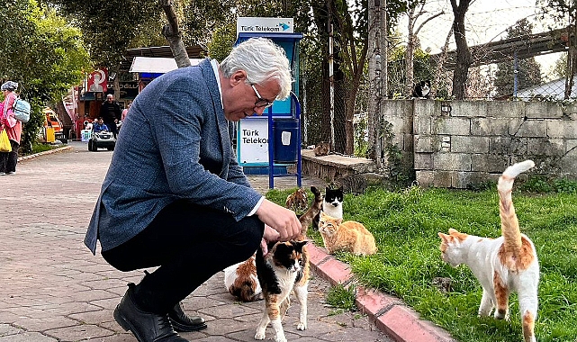 Adnan Öztekin'den Buca'da sokak hayvanları projesi
