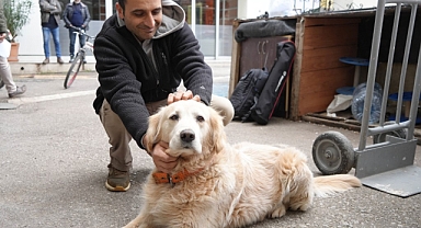 Köpeğin doktora havlaması sahibine 700 bin TL’ye patladı