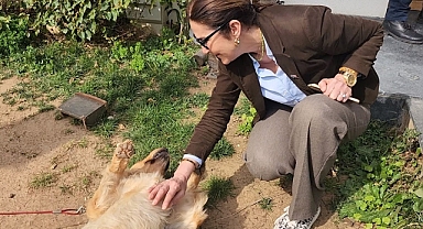 Saime Bucaklıoğlu: Modern Hayvan Barınakları ve Hayvan otelleri hizmete açılacak