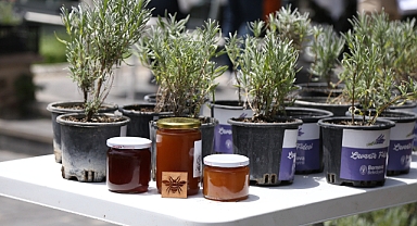 Bornova’da “Dünya Arı Günü” buluşması