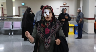 Erzurum Oltu’da sokak köpekleri dehşet saçtı