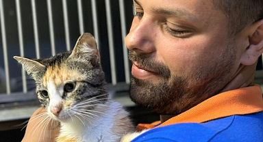 Yavru kedileri Buca Belediyesi ekipleri kurtardı